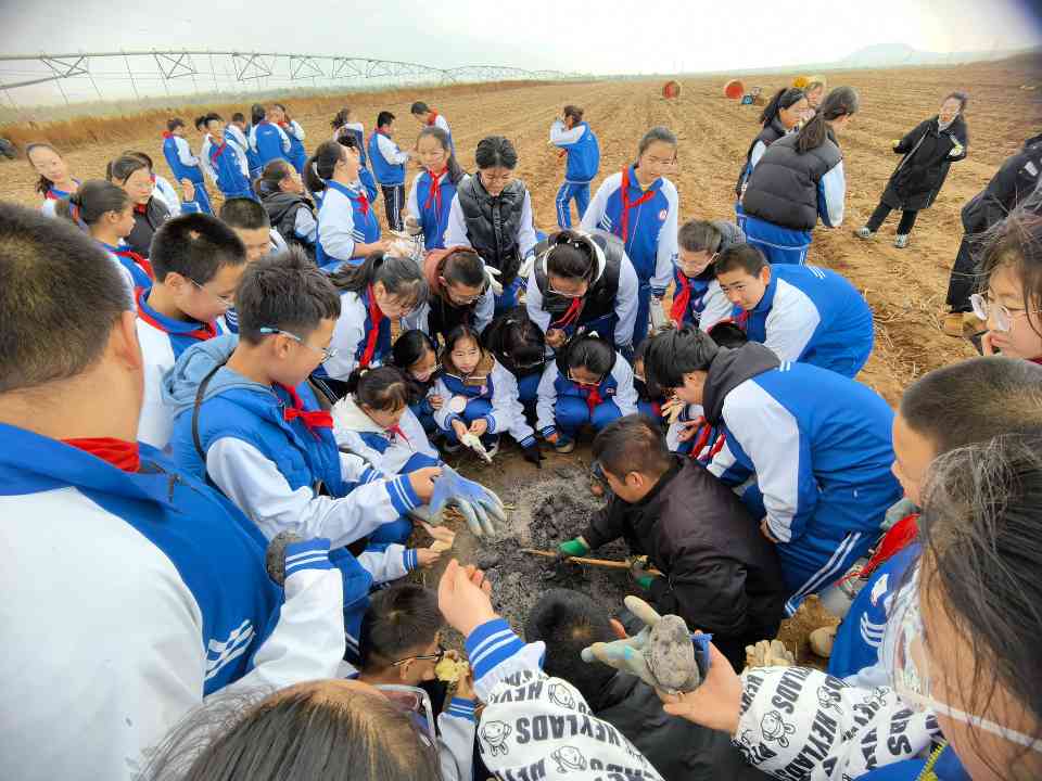 内蒙古金秋“宿”出新活力