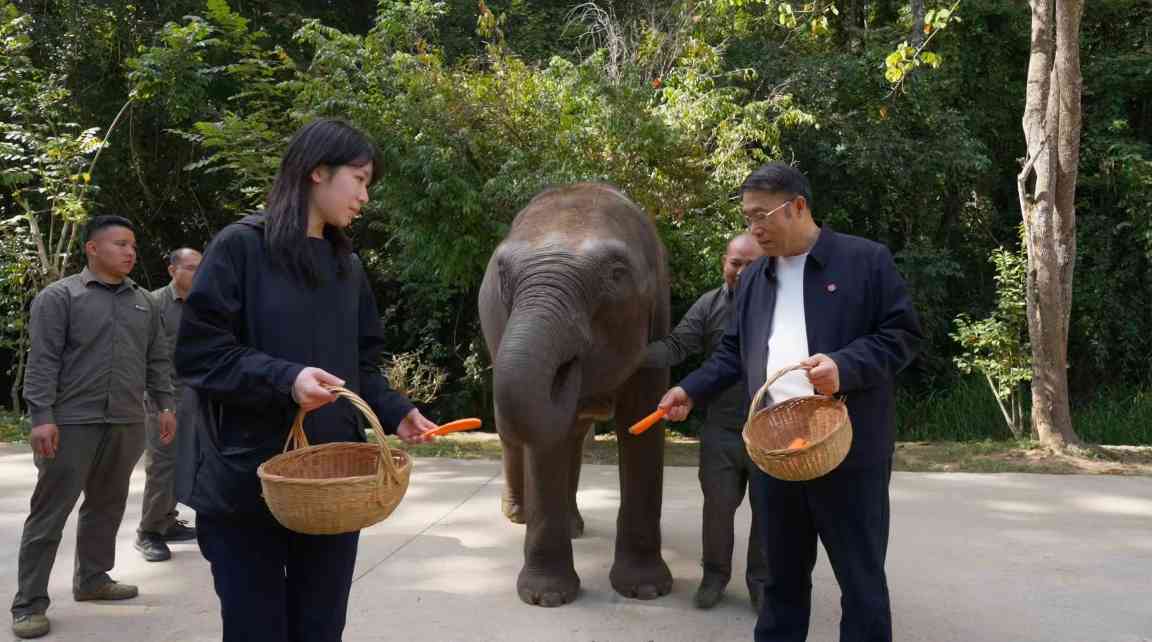 “保护性开发”让更多人 认识西双版纳之美