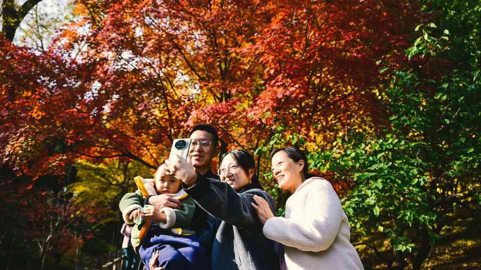 红叶有约 85万游客香山“追秋”