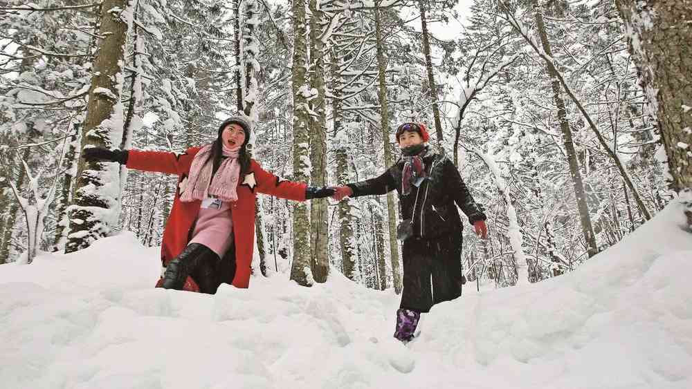 今冬冰雪旅游市场有多热