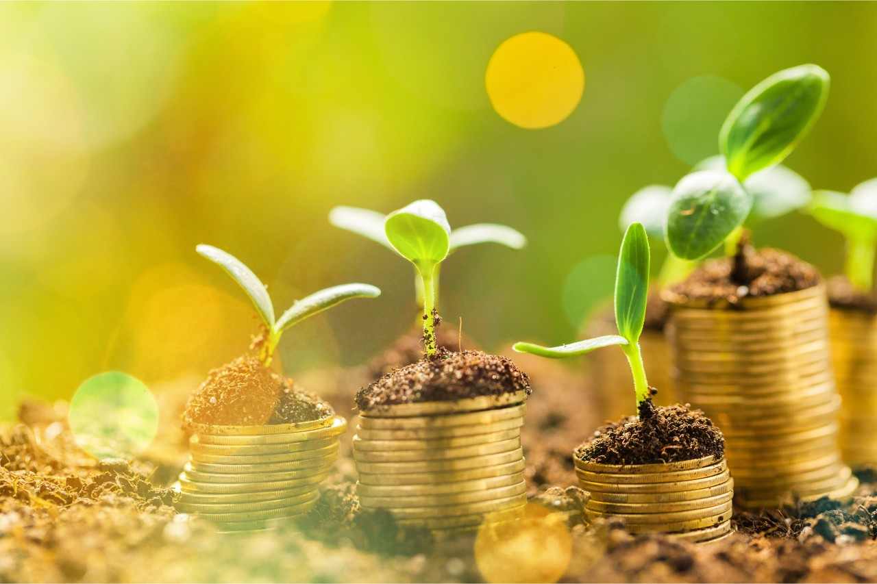 洞悉投资逻辑 把握转型机遇