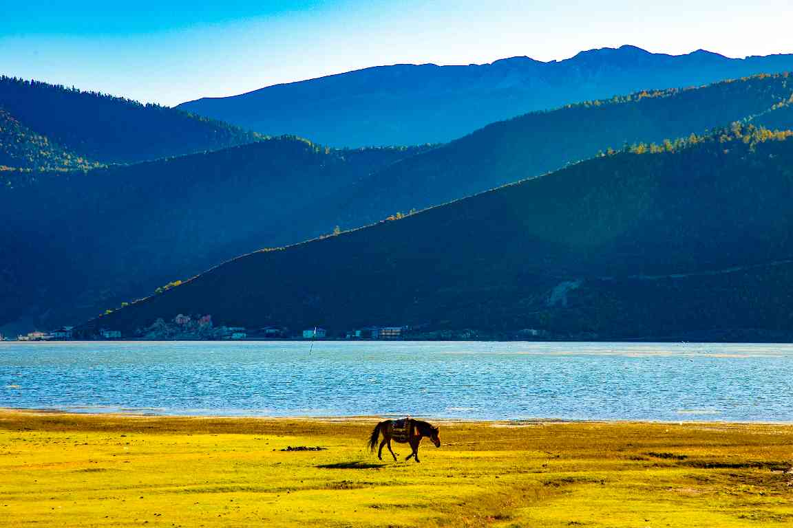 以“乡土密码”激活乡村旅游的安顺实践