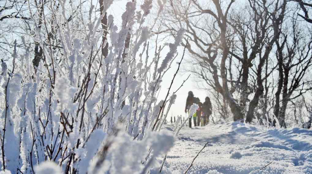 关注四个趋势 强化冰雪旅游营销