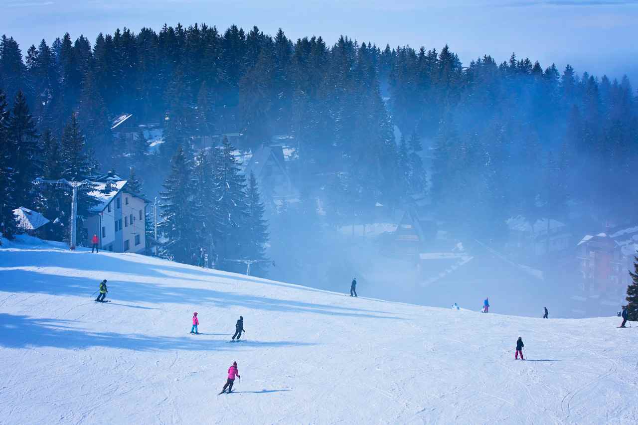 “南下避寒”“北上追雪”展现蓬勃活力