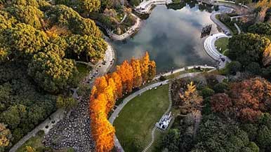 城市公园 装点美丽生活