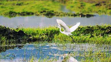 生态文明建设向纵深推进