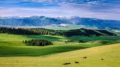 生态旅游路越走越宽