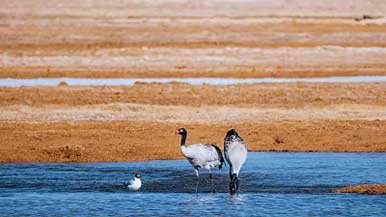 多样化的“国家公园”建设提速