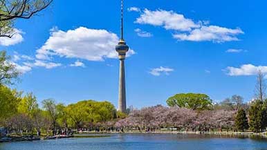 市属公园推出“多样清明”19项活动