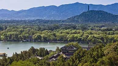 春夏秋冬都能游赏森林