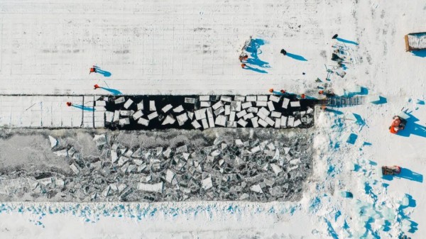 存冰开采！第二十八届哈尔滨冰雪大世界开始存冰