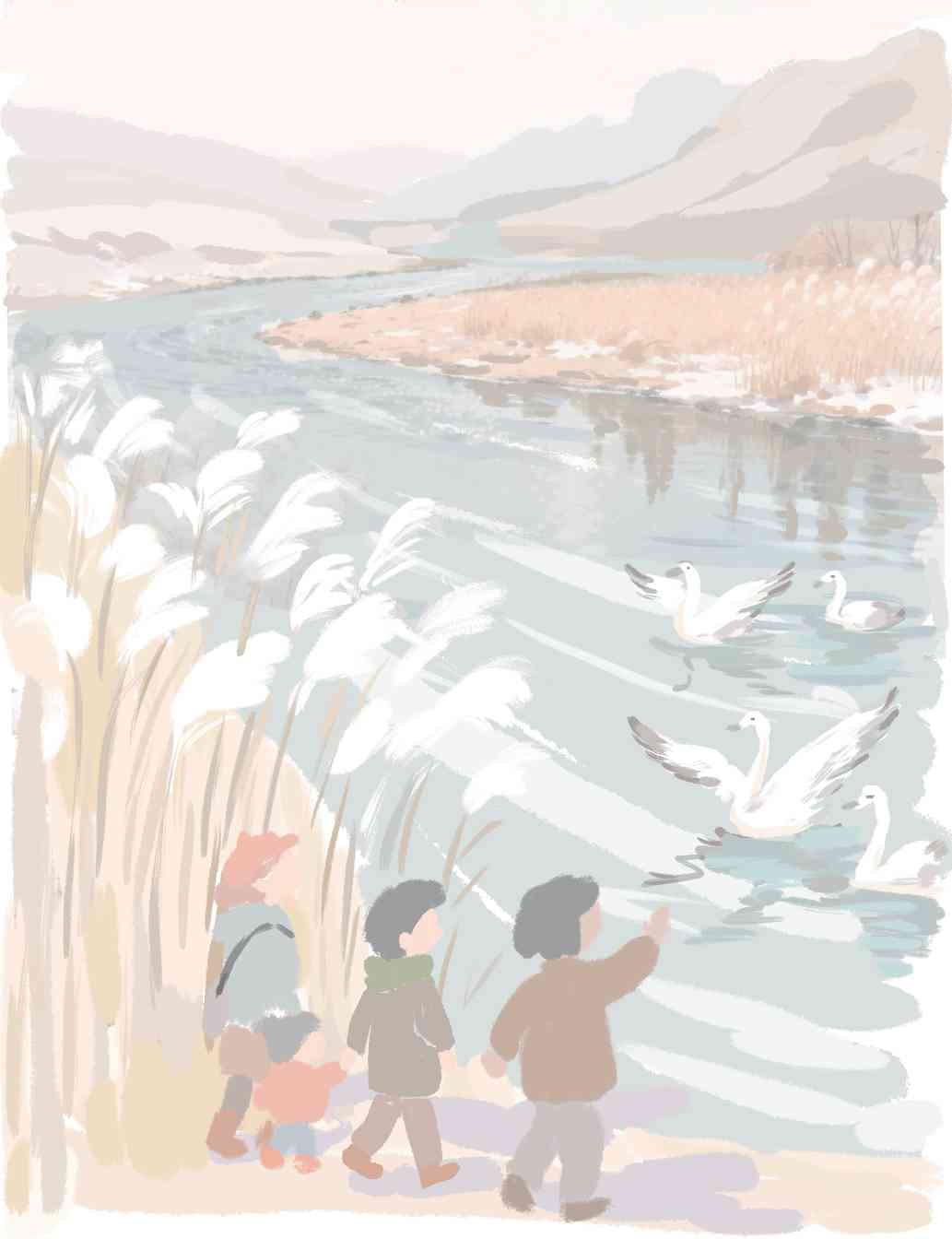 白羽清波天鹅滩