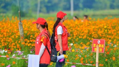 从“一抹红”到“一片红” 志愿服务情暖旅途