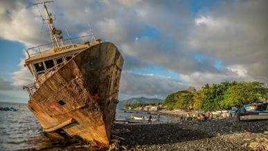 去昂儒昂岛看鱼类“活化石”