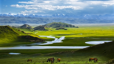 西部成今夏旅游新热点